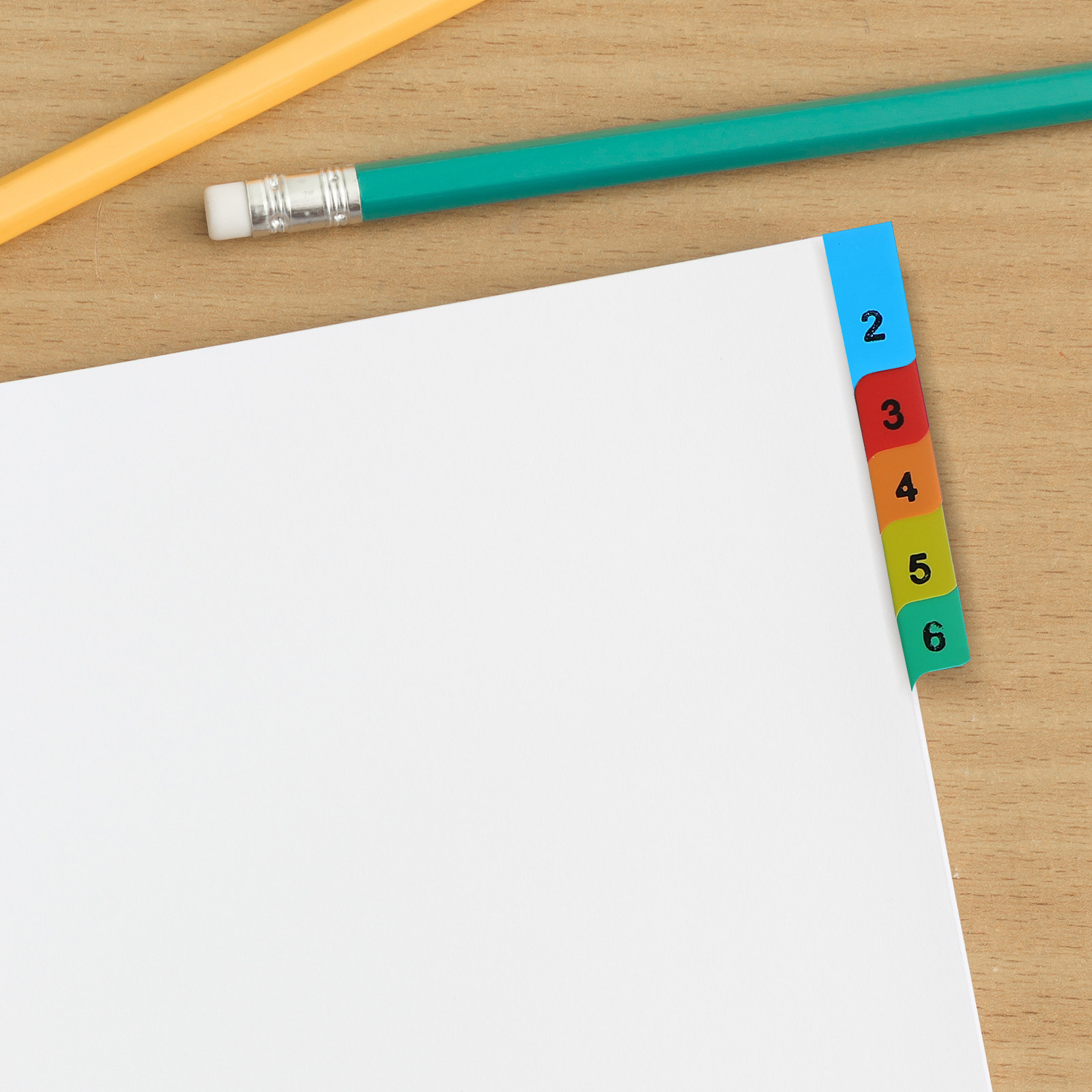 20 Pages A4 Colorful Plastic P - đánh giá và giá Tab Divider A4