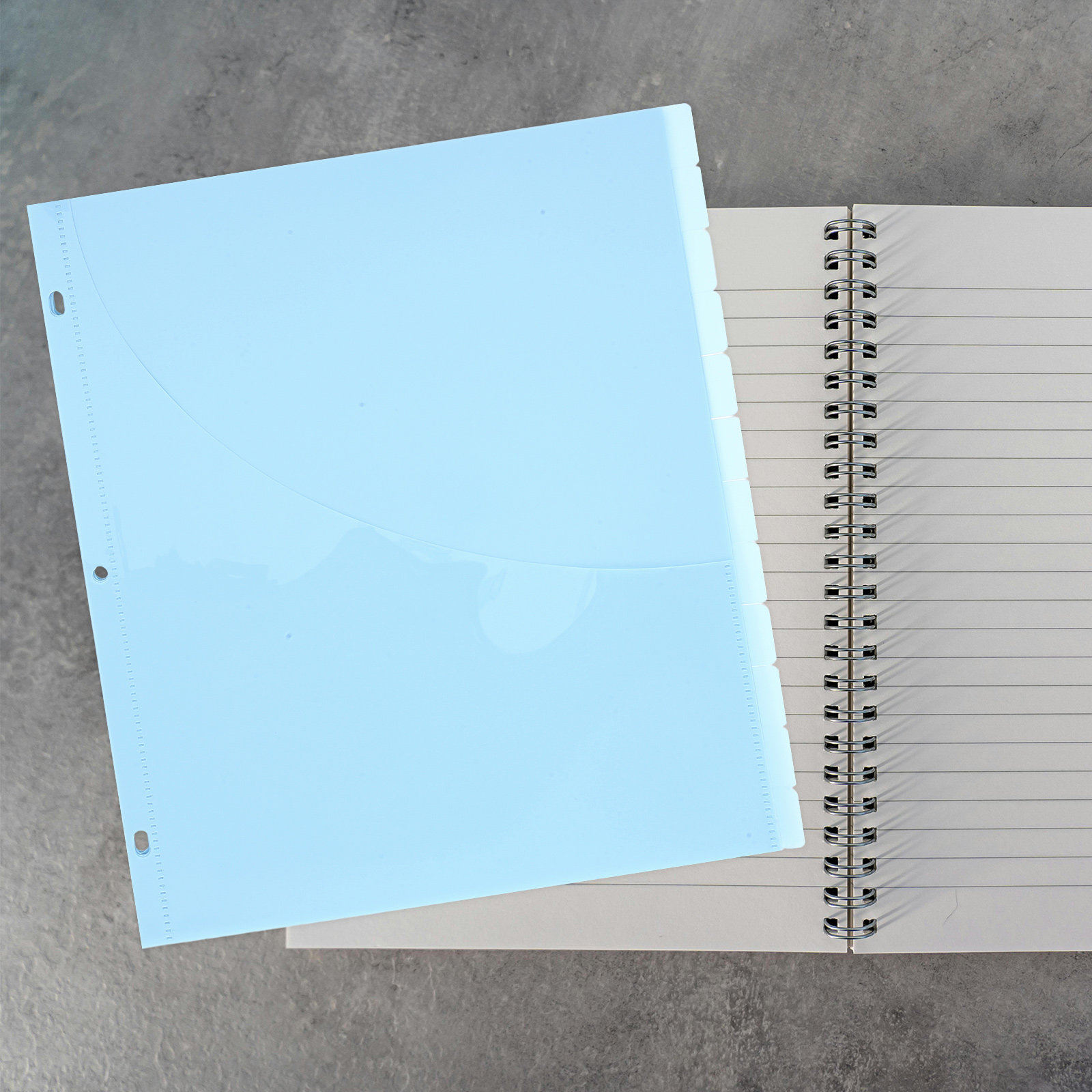 12Pcs Binder Dividers A4 Size  - đánh giá và giá Tab Divider A4