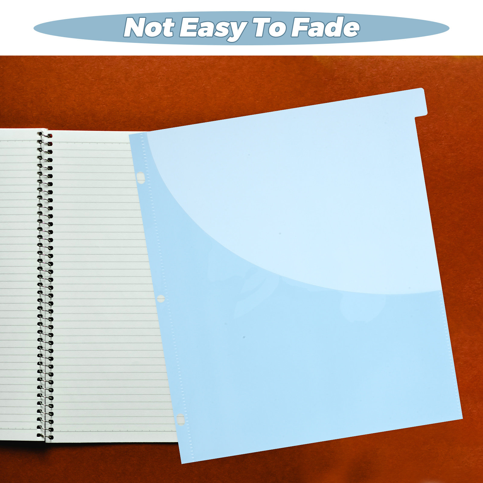 12Pcs Binder Dividers A4 Size  - đánh giá và giá Tab Divider A4